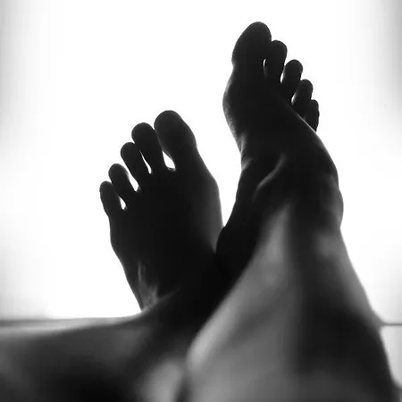 Octavie - De Luxe A Avec Piscine Privee, Jacuzzi, Sauna Et Hammam Doornik