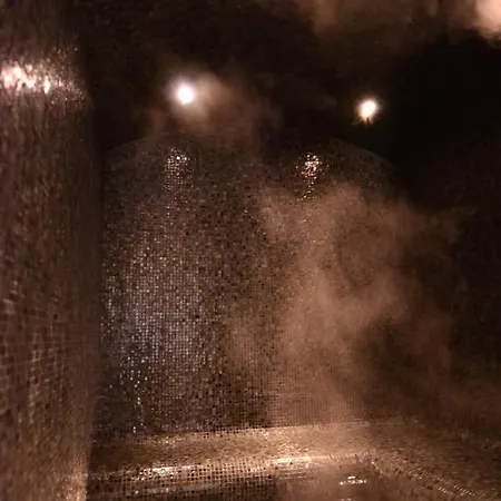 Octavie - De Luxe A Avec Piscine Privee, Jacuzzi, Sauna Et Hammam * Doornik